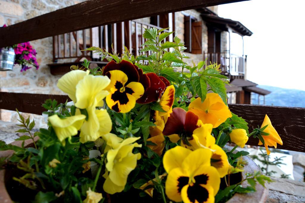 Nymfes Guesthouse Synikia Mesi Trikalon Chambre photo